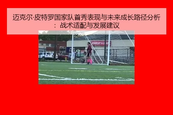 mai-ke-er-pi-te-luo-guo-jia-dui-shou-xiu-biao-xian-yu-wei-lai-cheng-zhang-lu-jing-fen-xi-zhan-shu-shi-pei-yu-fa-zhan-2-118.jpg
