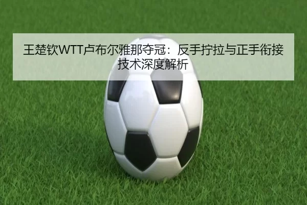 王楚钦WTT卢布尔雅那夺冠：反手拧拉与正手衔接技术深度解析